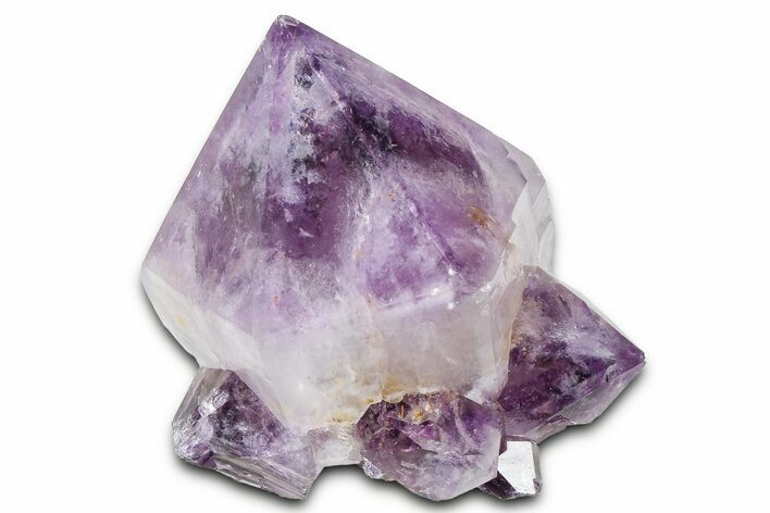 Cactus Quartz (Amethyst) Crystal - South Africa #371686